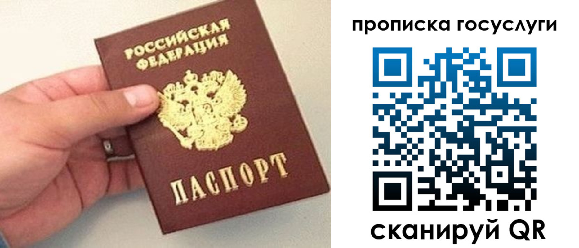 где прописаться в Волгоградской области